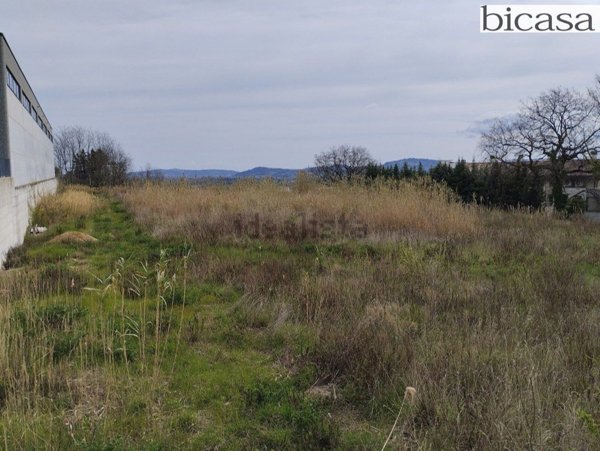 terreno agricolo in vendita a Tavullia