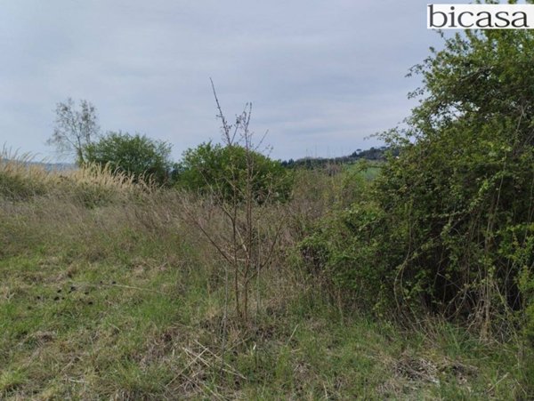 terreno agricolo in vendita a Tavullia