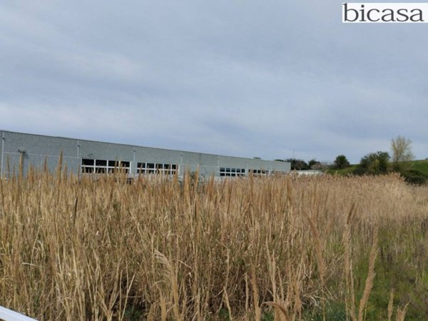 terreno agricolo in vendita a Tavullia