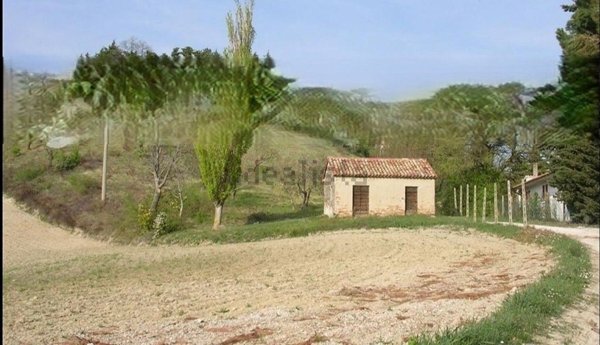terreno agricolo in vendita a Tavullia in zona Belvedere Fogliense