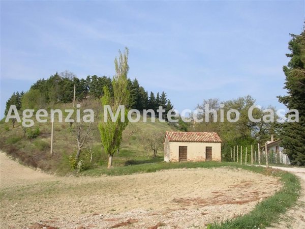 terreno agricolo in vendita a Tavullia in zona Belvedere Fogliense