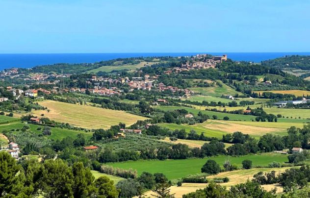 terreno agricolo in vendita a Tavullia