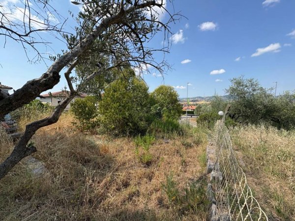 terreno agricolo in vendita a Tavullia