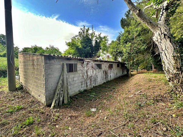 casa indipendente in vendita a Tavullia