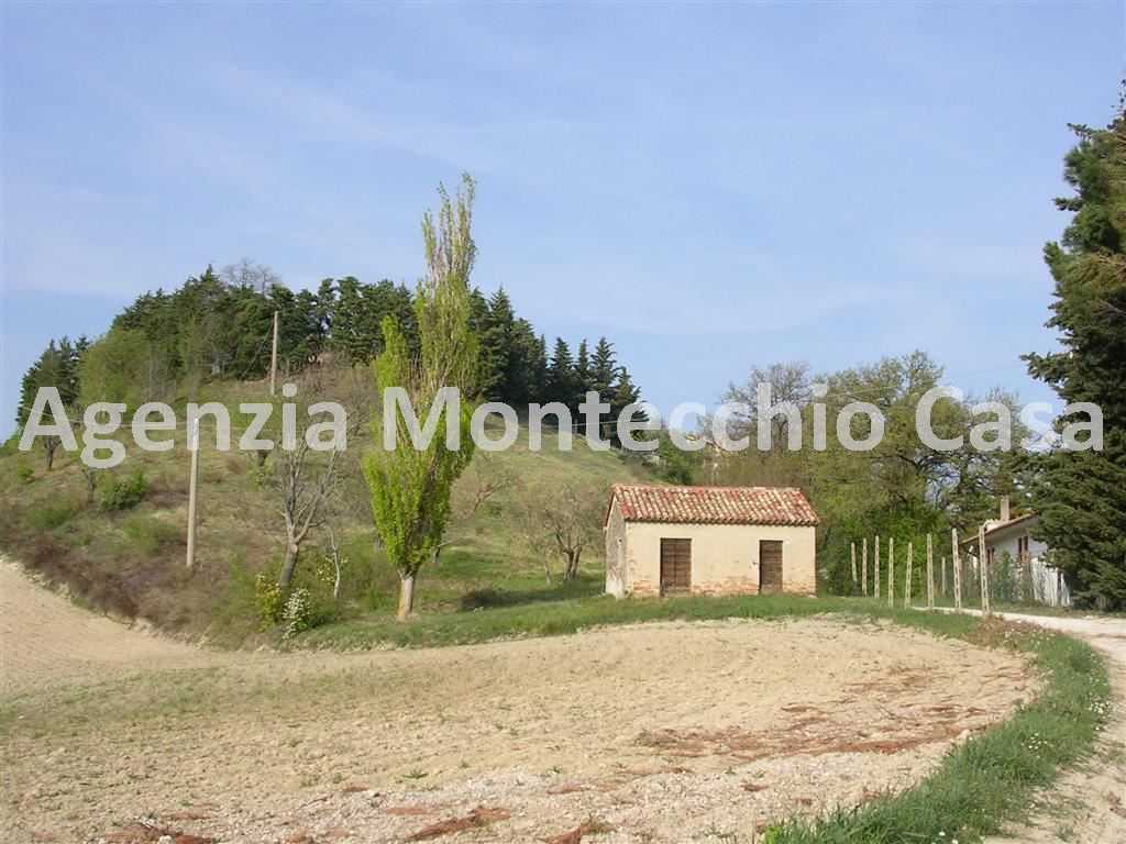 terreno agricolo in vendita a Tavullia in zona Belvedere Fogliense