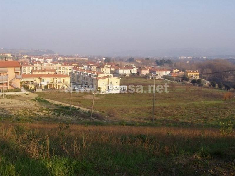 terreno agricolo in vendita a Tavullia