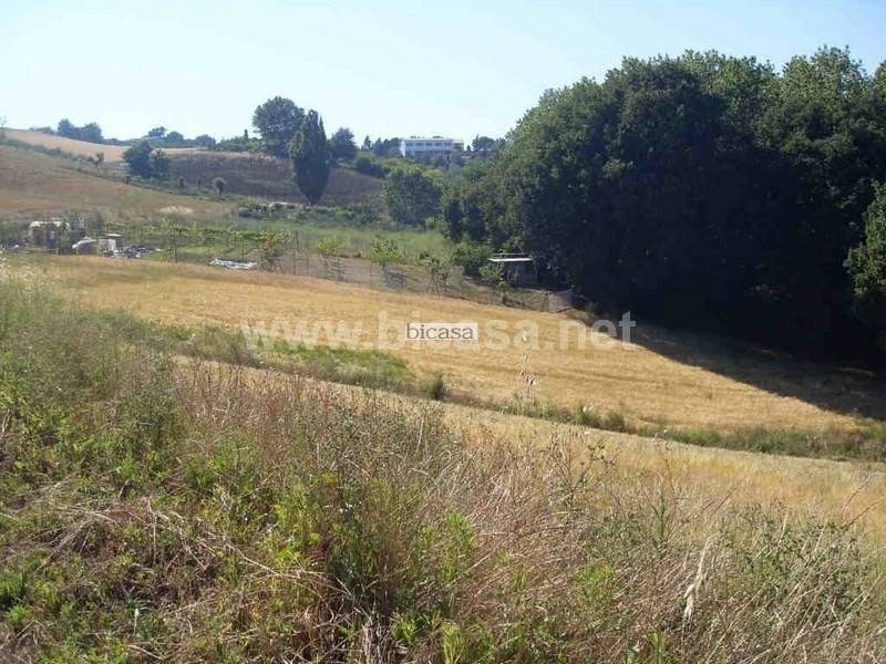 terreno in vendita a Tavullia