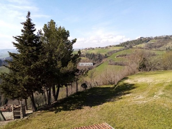terreno agricolo in vendita a Tavullia in zona Belvedere Fogliense