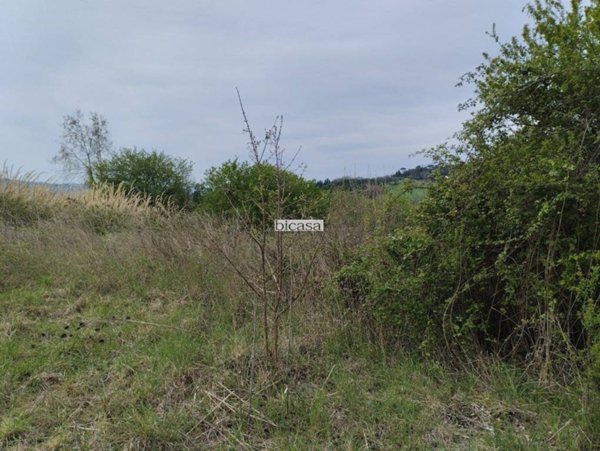 terreno agricolo in vendita a Tavullia