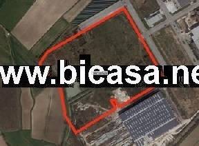terreno agricolo in vendita a Tavullia in zona Pirano