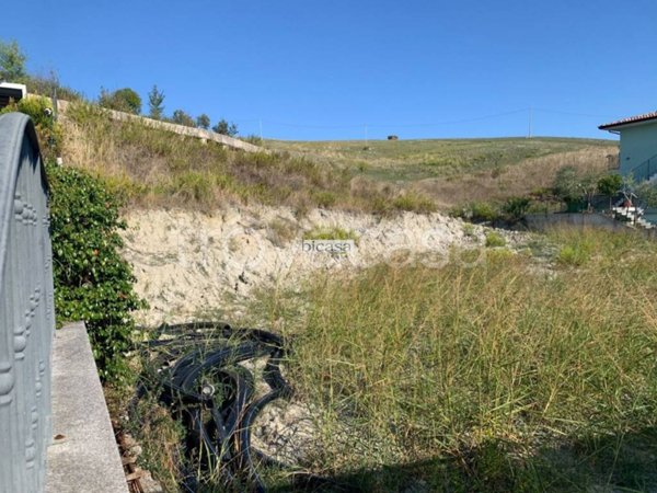 terreno agricolo in vendita a Tavullia in zona Padiglione