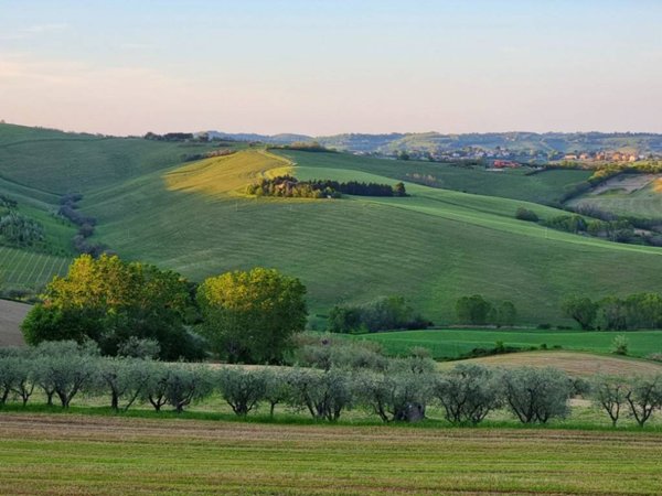casa indipendente in vendita a Tavullia in zona Monteluro
