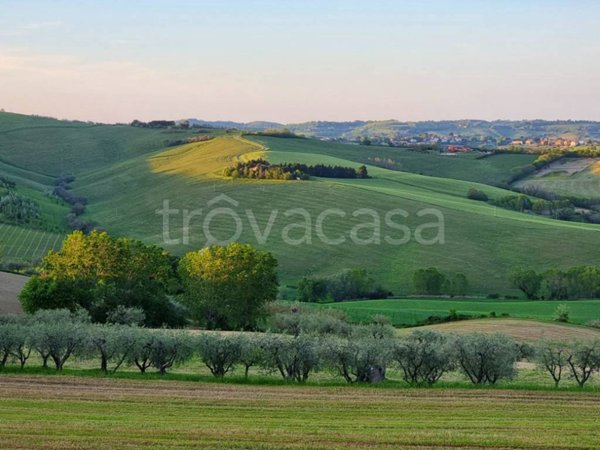 casa indipendente in vendita a Tavullia in zona Monteluro