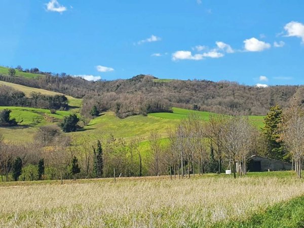 terreno agricolo in vendita ad Urbania