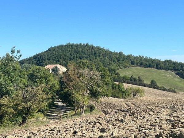 casa indipendente in vendita ad Urbania