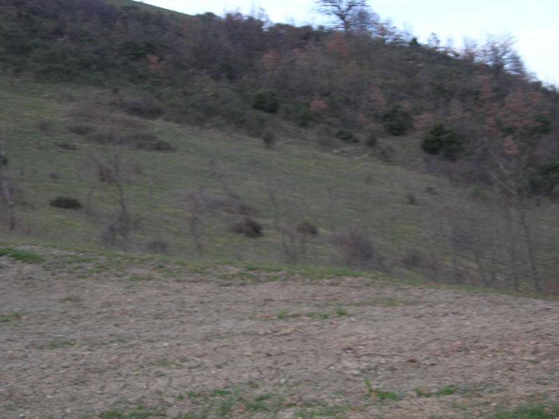 casa indipendente in vendita ad Urbania