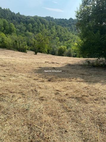 terreno agricolo in vendita ad Urbino in zona Pieve di Cagna