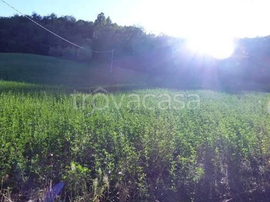 appartamento in vendita ad Urbino in zona Trasanni