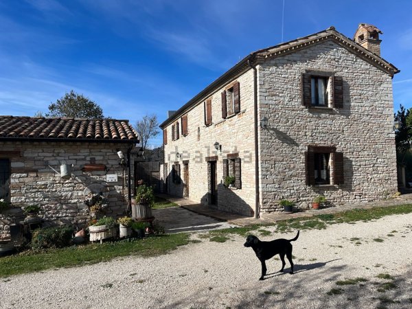 casa indipendente in vendita ad Urbino