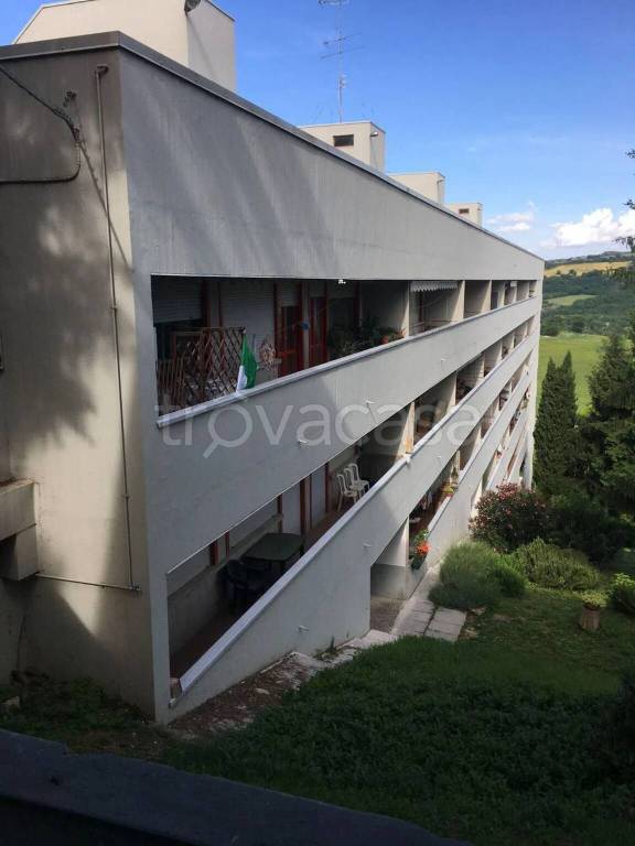 appartamento in vendita ad Urbino