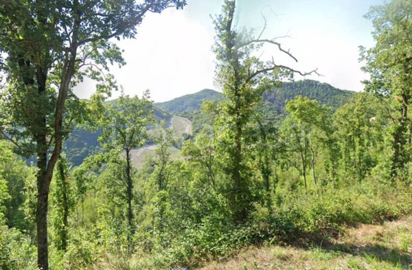 terreno agricolo in vendita ad Urbino