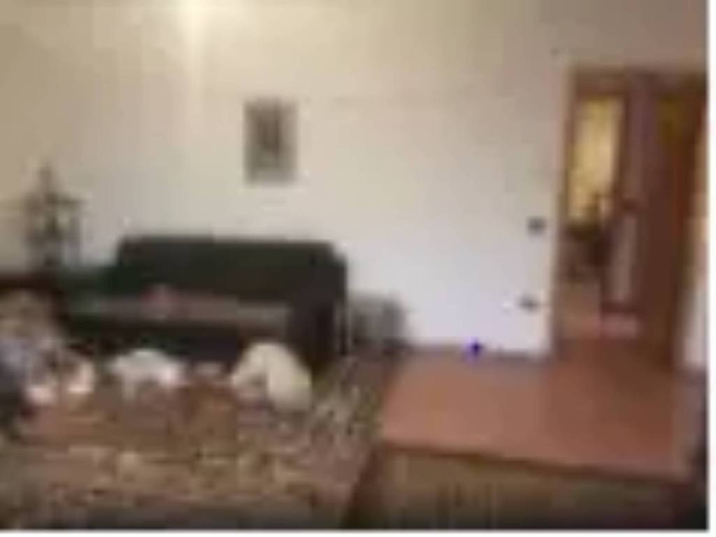 appartamento in vendita ad Urbino in zona Trasanni