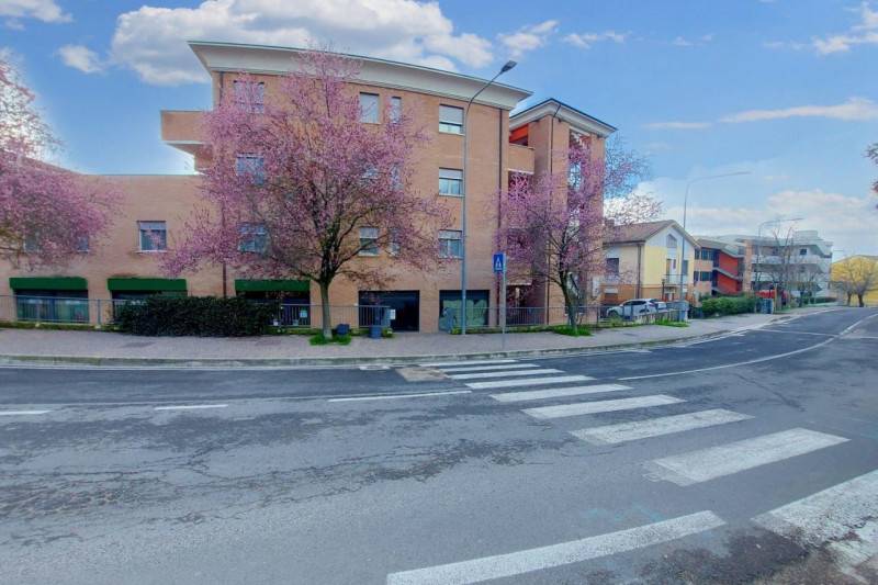 negozio in vendita ad Urbino in zona Centro CittÃ 