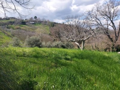 casa indipendente in vendita ad Urbino