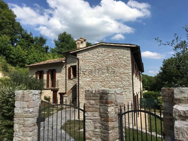 esavano in vendita ad Urbino in zona Canavaccio