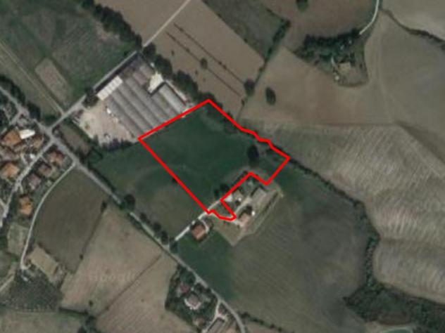 terreno agricolo in vendita ad Urbino in zona Pantiera
