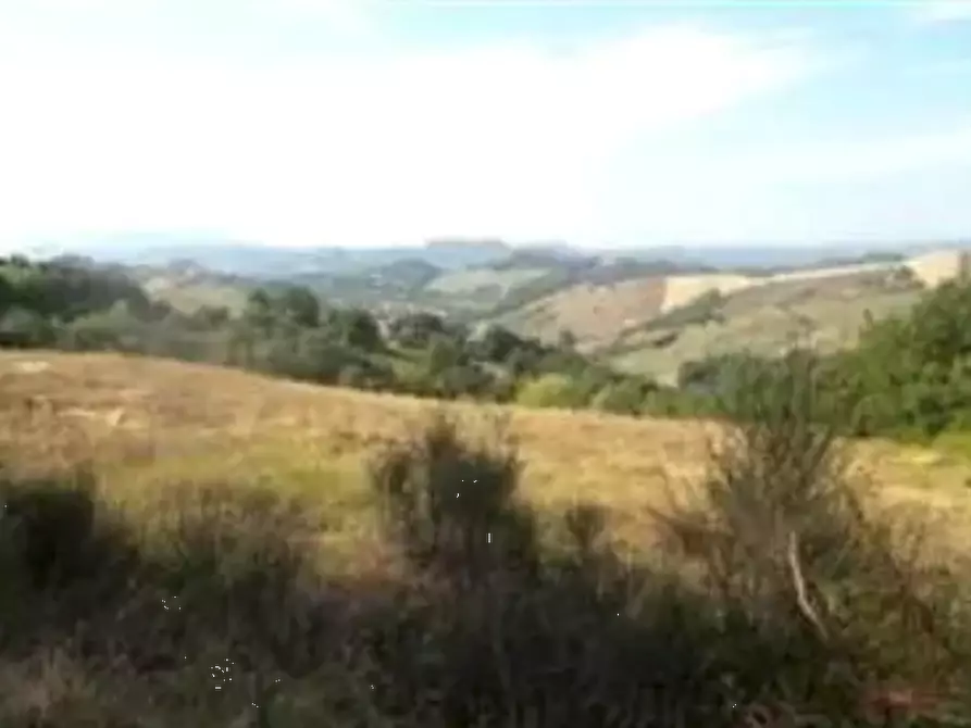 terreno agricolo in vendita ad Urbino