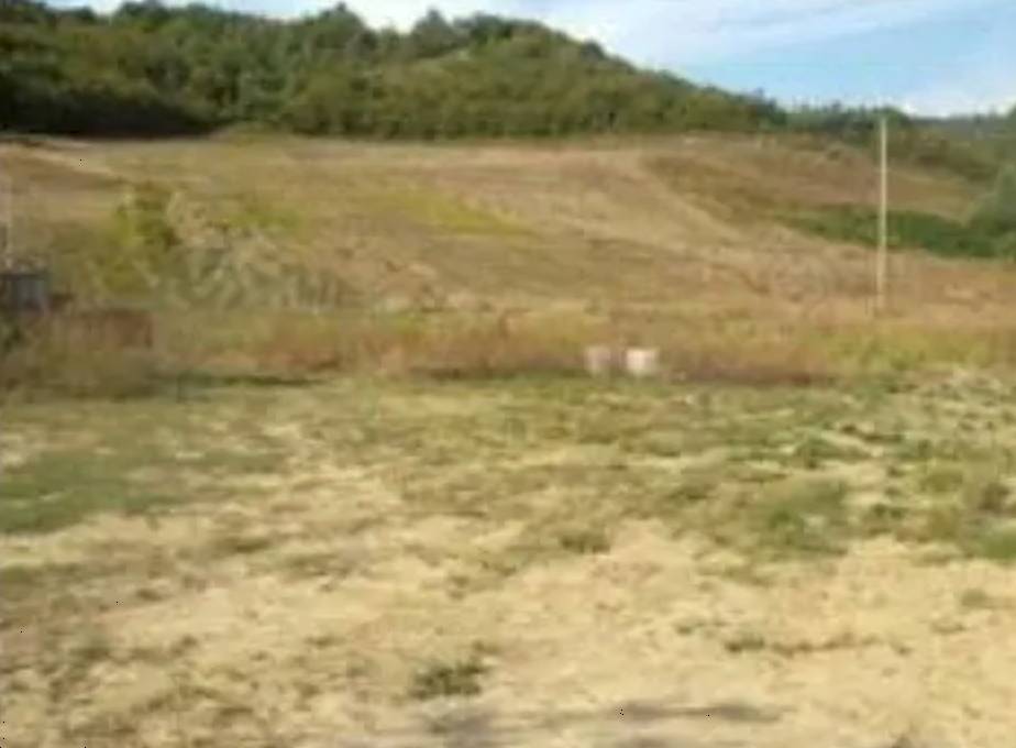 terreno agricolo in vendita ad Urbino in zona Paganico
