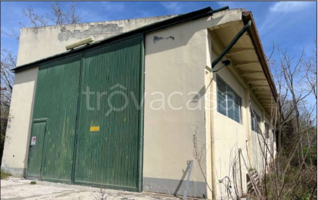 locale commerciale in vendita ad Urbino in zona Centro CittÃ 