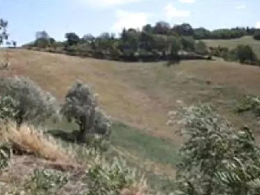 terreno agricolo in vendita ad Urbino in zona Rancitella