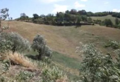 terreno agricolo in vendita ad Urbino in zona Rancitella