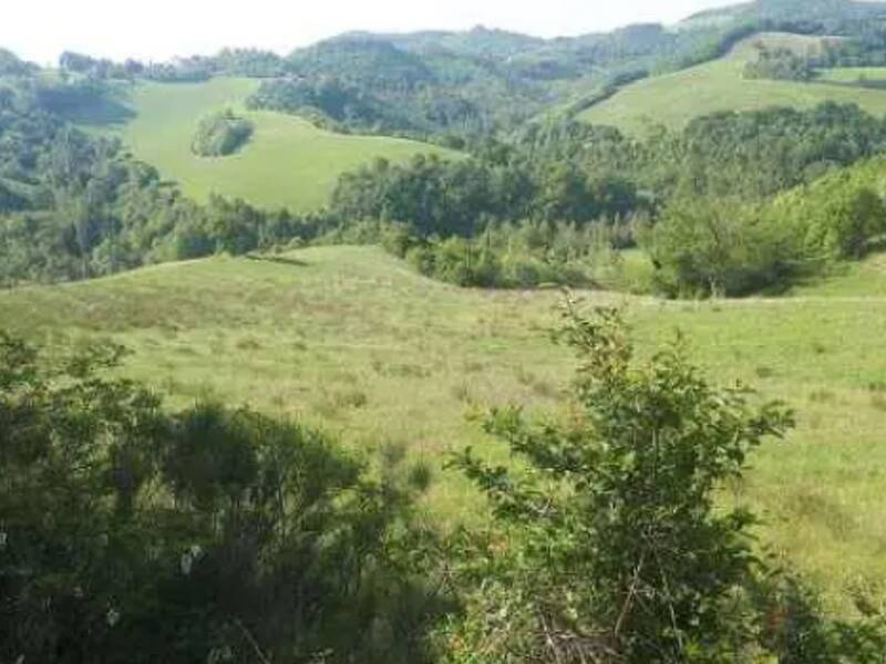 terreno agricolo in vendita ad Urbino in zona Maciolla