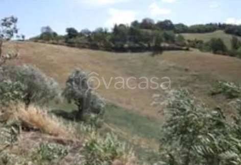 appartamento in vendita ad Urbino in zona Rancitella