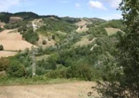 terreno agricolo in vendita ad Urbino in zona Rancitella