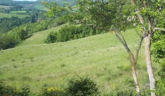 terreno agricolo in vendita ad Urbino in zona Maciolla