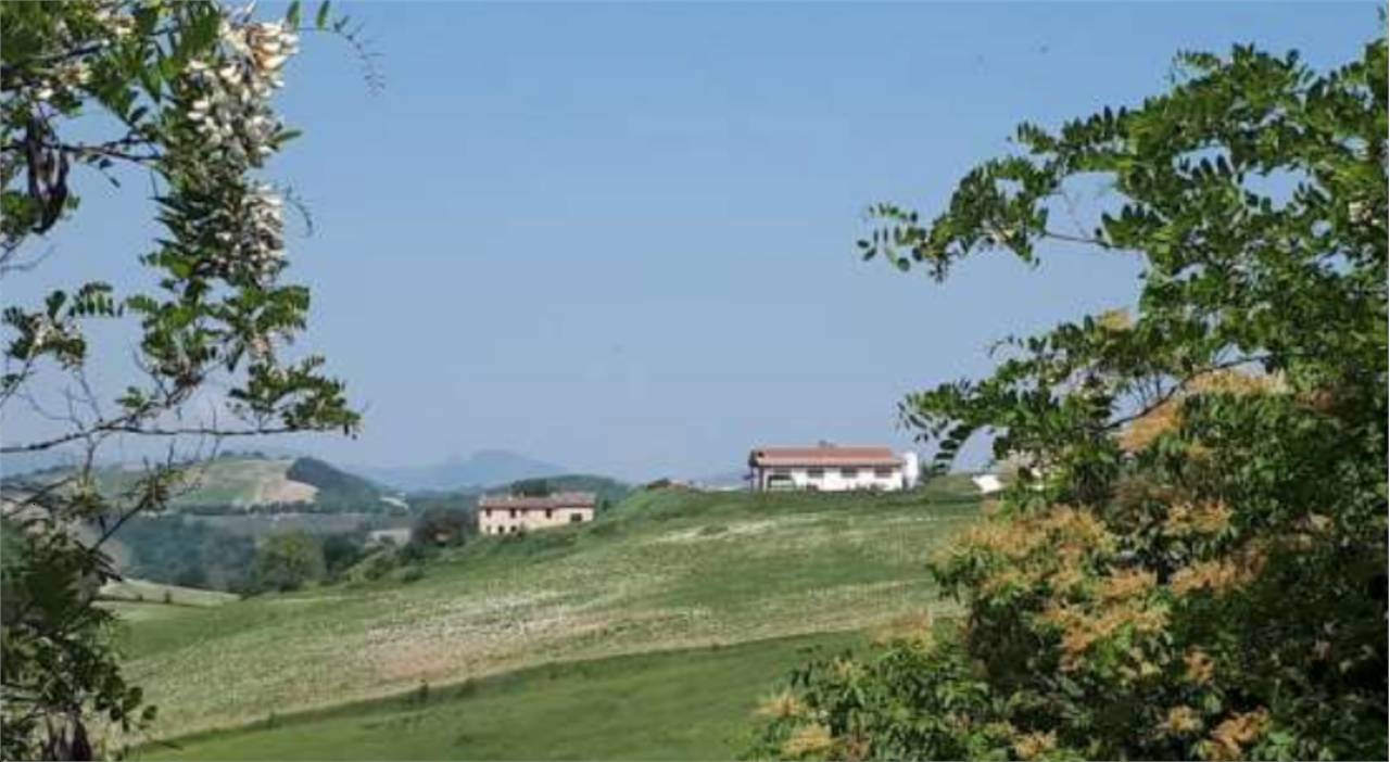 terreno agricolo in vendita ad Urbino