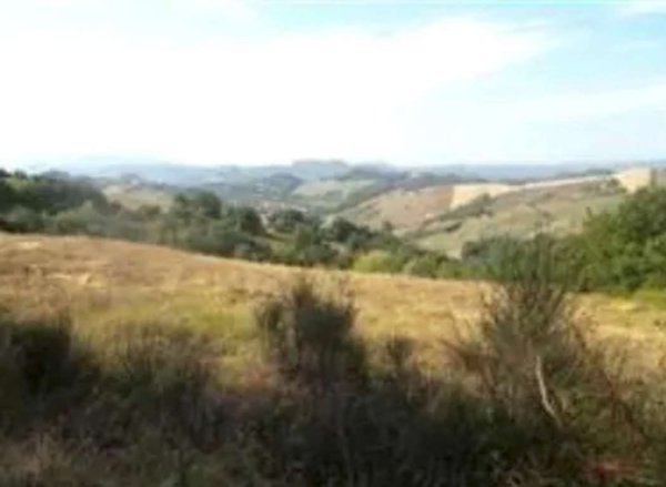 terreno agricolo in vendita ad Urbino