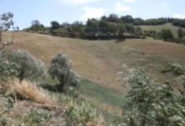 terreno agricolo in vendita ad Urbino in zona Rancitella