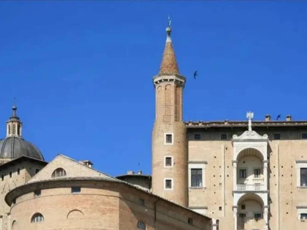 appartamento in vendita ad Urbino