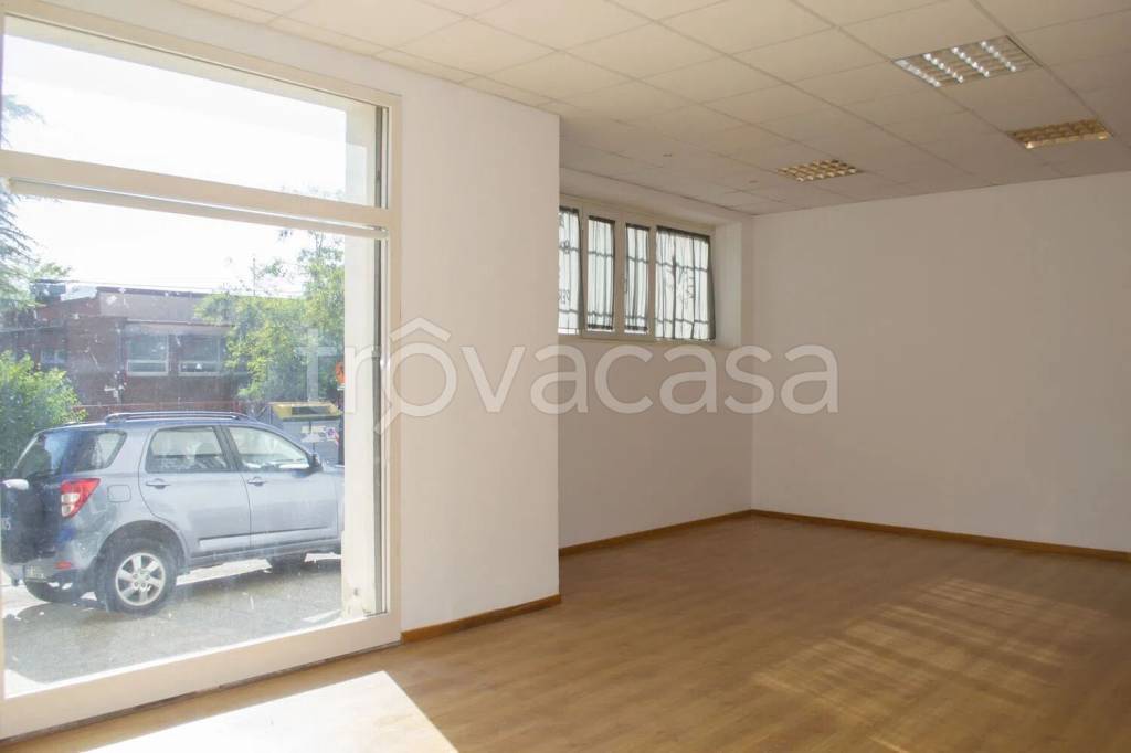 negozio in vendita ad Urbino