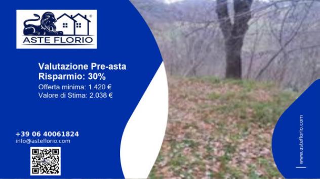 terreno agricolo in vendita ad Urbino in zona Pieve di Cagna