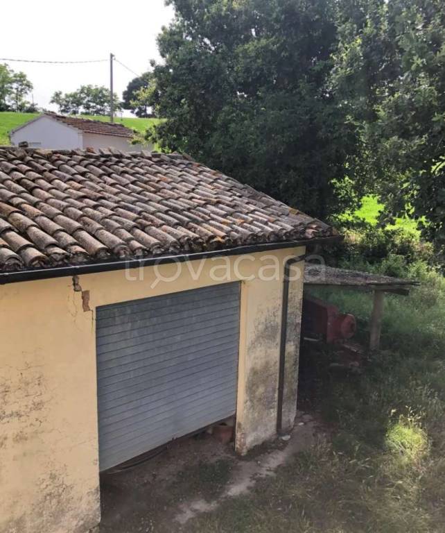 terreno agricolo in vendita ad Urbino in zona Pieve di Cagna