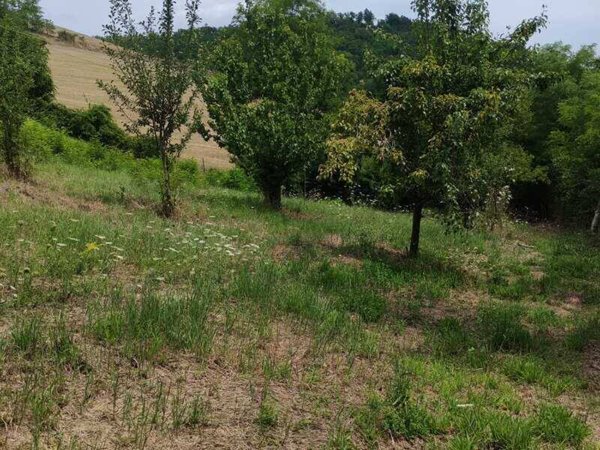terreno agricolo in vendita ad Urbino