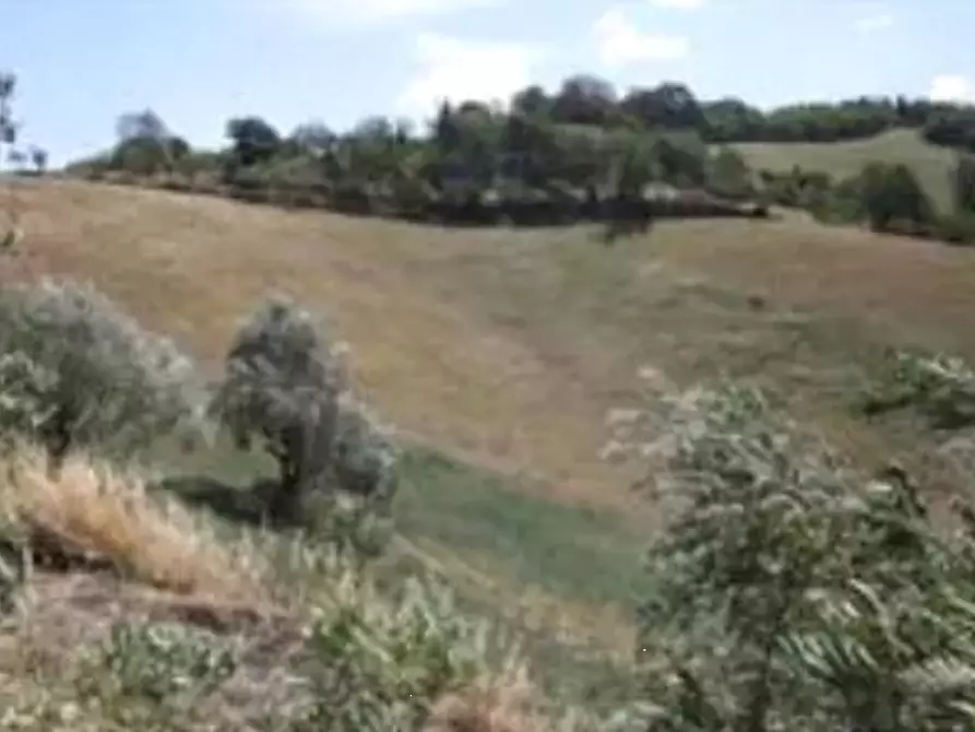terreno agricolo in vendita ad Urbino