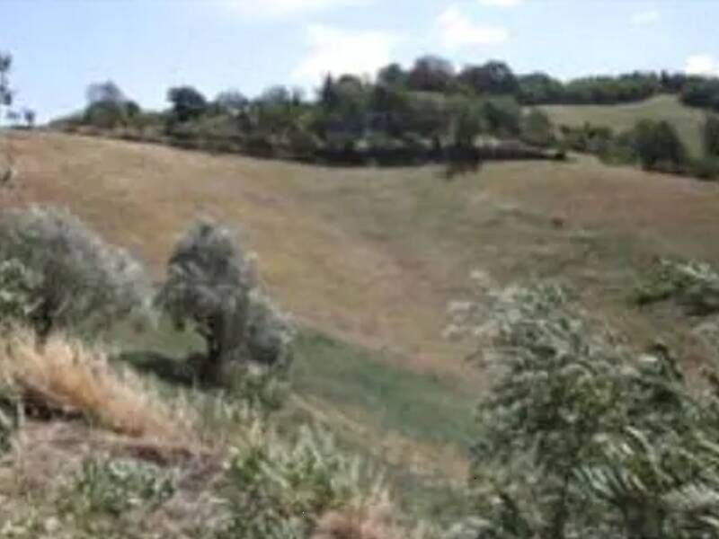 terreno agricolo in vendita ad Urbino