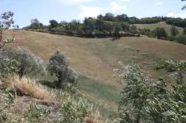 terreno agricolo in vendita ad Urbino